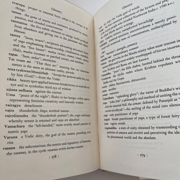 S. a Novel by John Updike Novel 1988 1st Edition 1st Print Knopf Book HC DJ - Picture 8 of 16